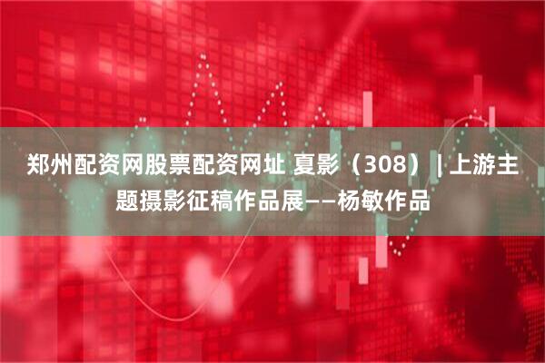 郑州配资网股票配资网址 夏影（308） | 上游主题摄影征稿作品展——杨敏作品